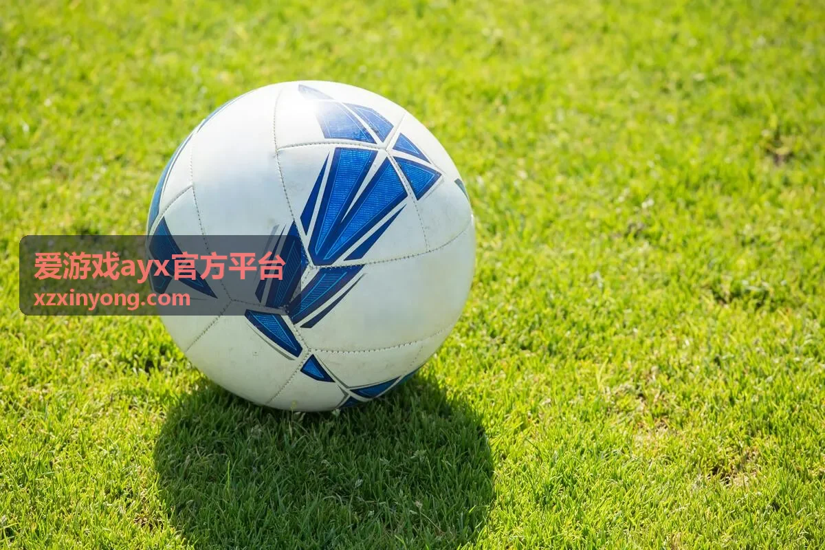 爱游戏ayx官方平台活动资讯与账号服务频道横幅