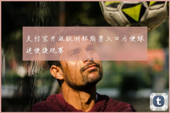 支付宝开放欧洲杯购票入口方便球迷便捷观赛