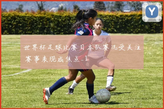世界杯足球比赛日本队赛况受关注 赛事表现成焦点_1