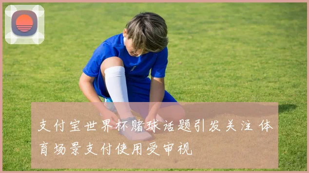 支付宝世界杯赌球话题引发关注 体育场景支付使用受审视