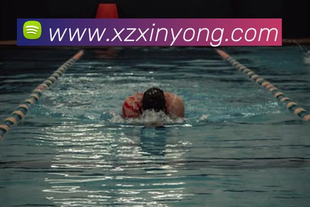 世界杯官方网络平台平台生态图